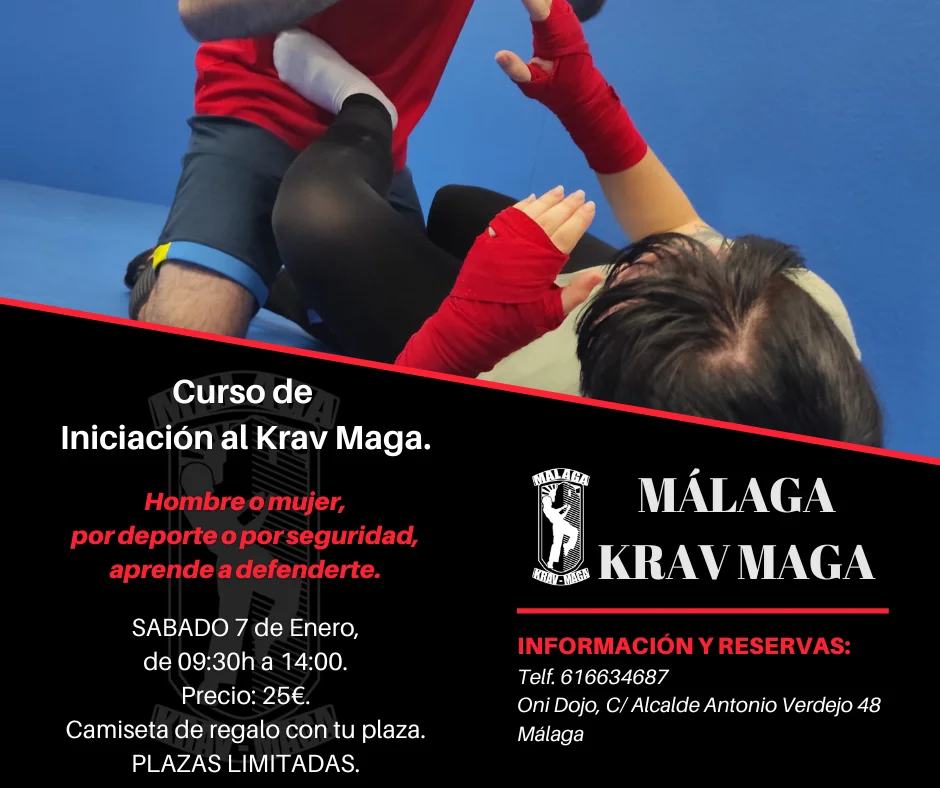Curso de Iniciación Málaga Krav Maga